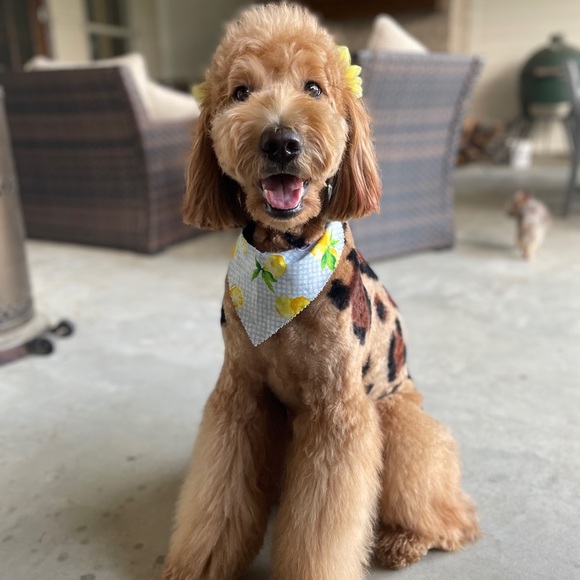 Hello! 👋 - Picture 3 of 3